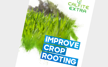 Calfite Extra - Innovation Range