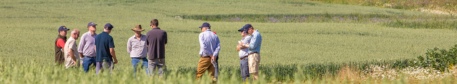 The evolution of Lamport AgX