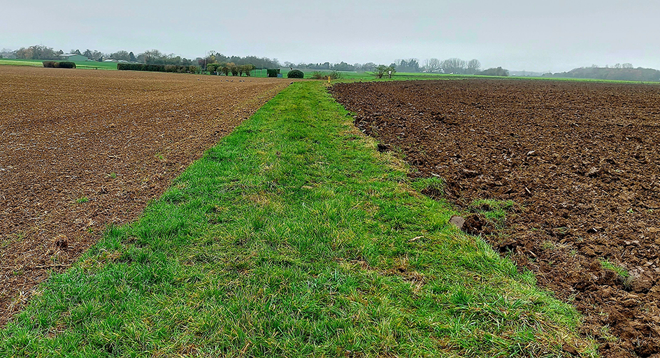Environmental Stewardship Mixture header