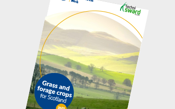 Grass and forage crops for Scotland 2025 season - TechniSward