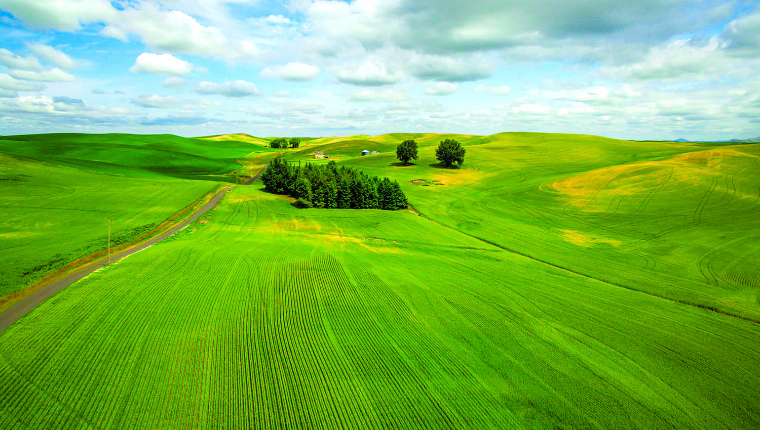 Satellite imagery and VR nitrogen Slider 5