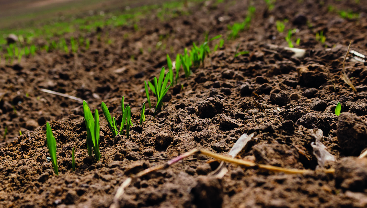 GPS soil sampling for nutrients Slider 3