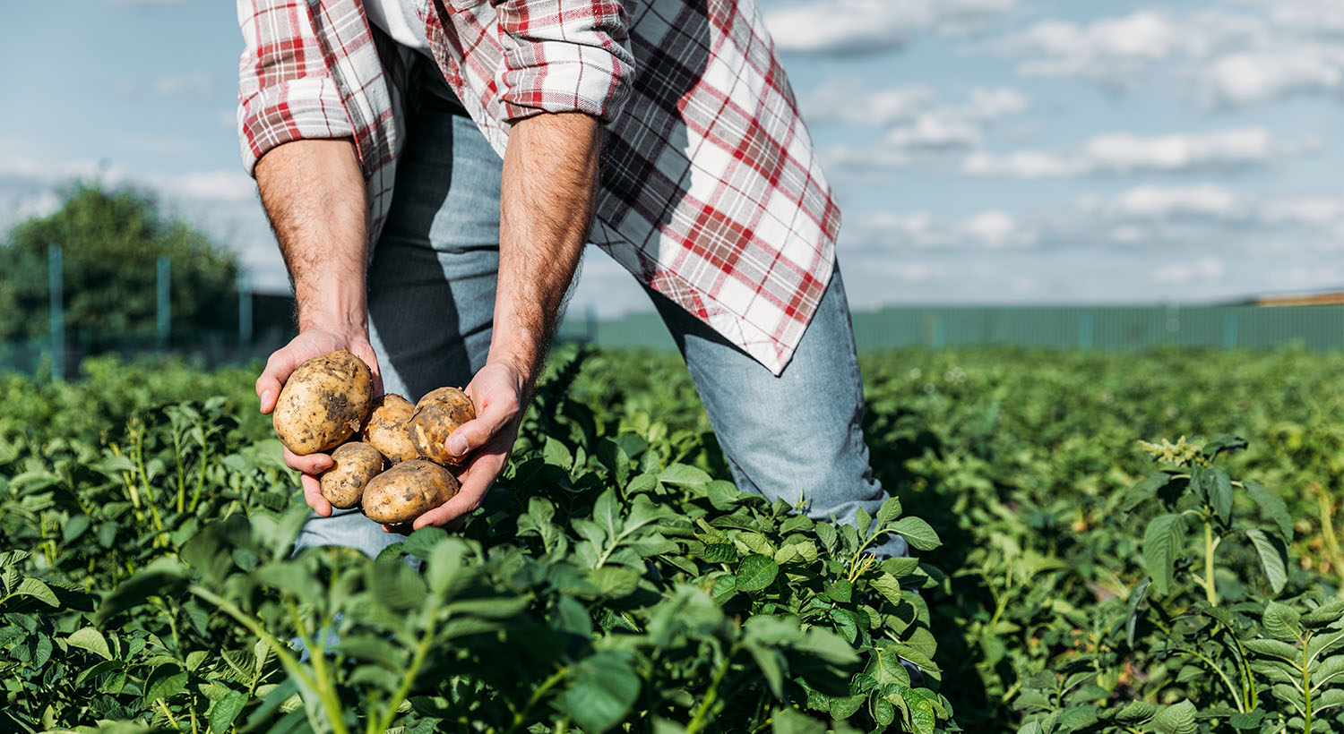 #ForOurGrowers