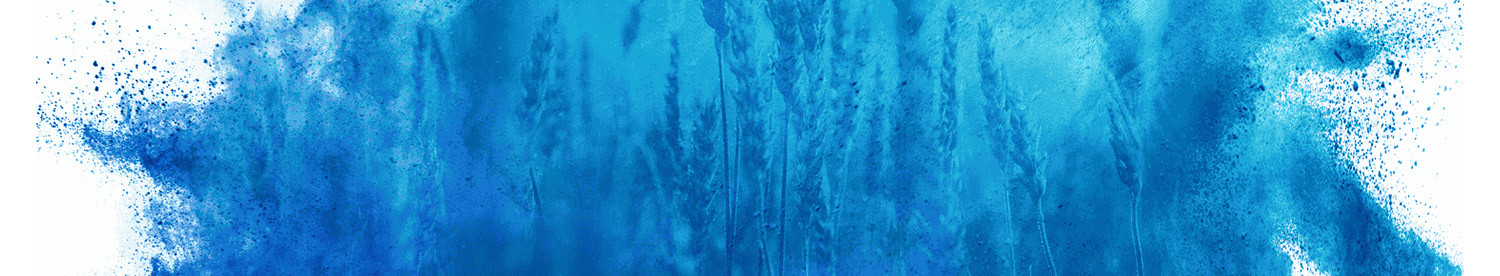 Sea2Soil
