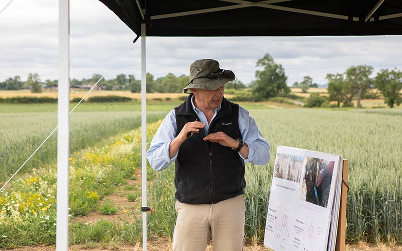 Talk at Lamport