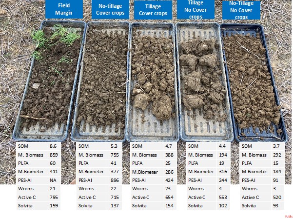 Soil samples