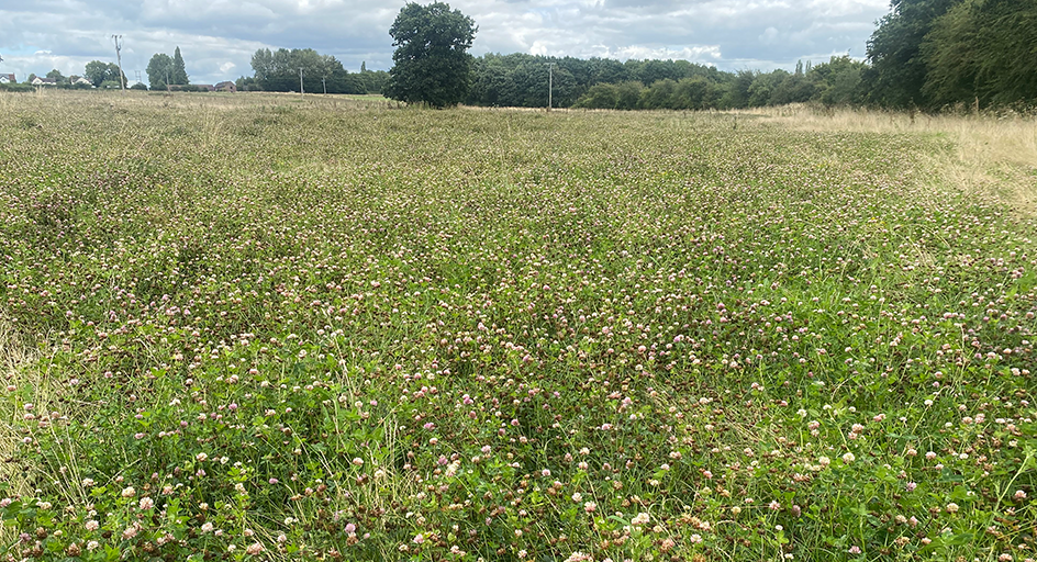 Environmental Stewardship Mixture header