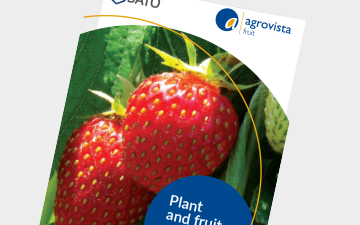 Fruit - Plant and fruit production solutions