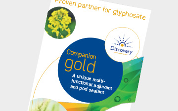 Companion Gold - Discovery Range