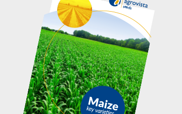 Maize key varieties 2025 - Agrovista seeds