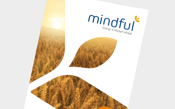 Mindful