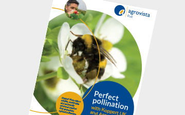 Fruit - Perfect pollination