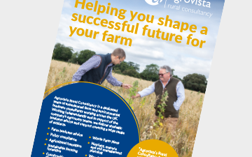 Rural Consultancy