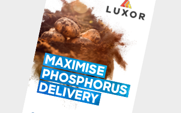 Luxor - Innovation Range
