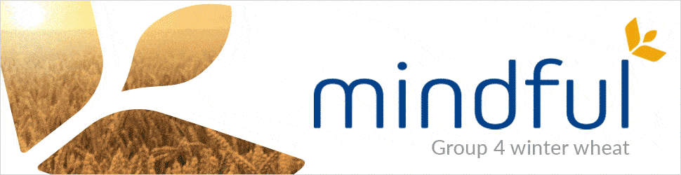 Mindful banner