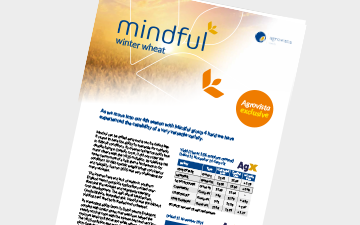 Mindful - wheat 2026
