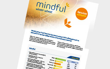 Mindful winter wheat