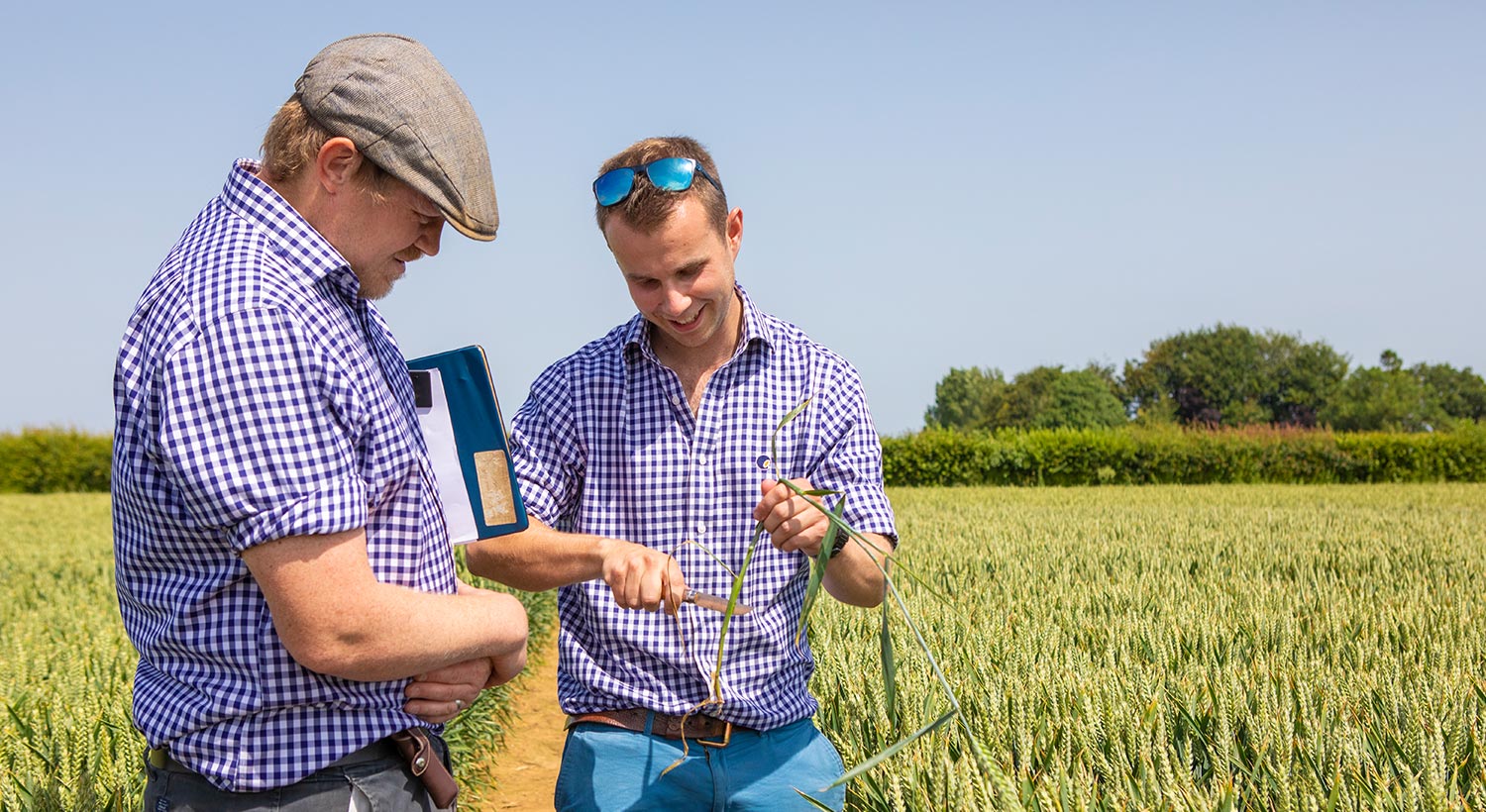 Agrovista blog
