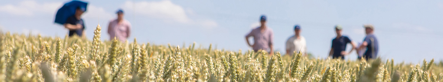 Our vision and values