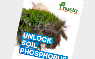 Phosta - Innovation Range