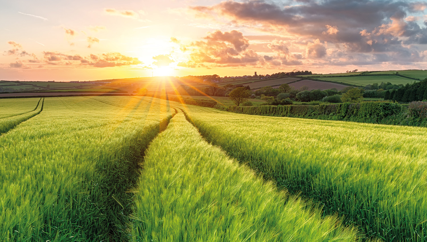 Field variation mapping Slider 6