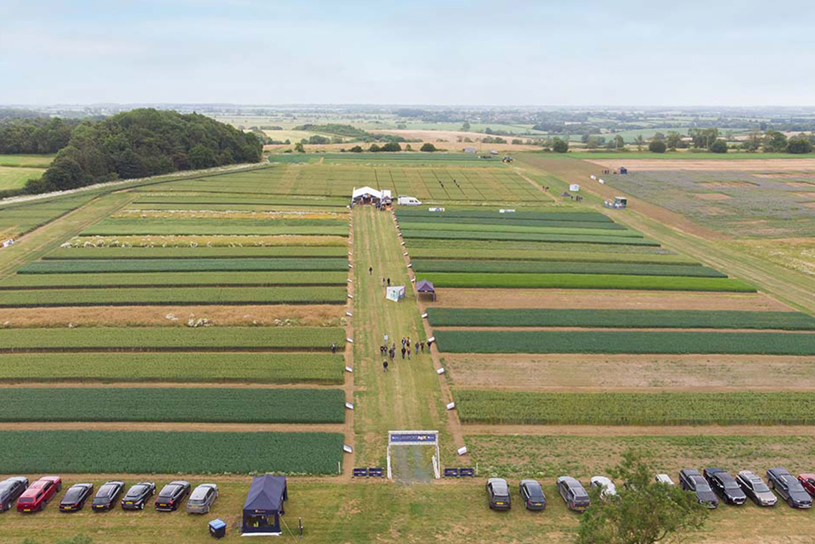 Fields at Lamport