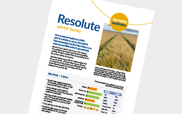 Resolute - winter barley