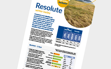 Resolute