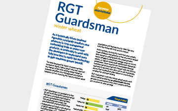 RGT Guardsman