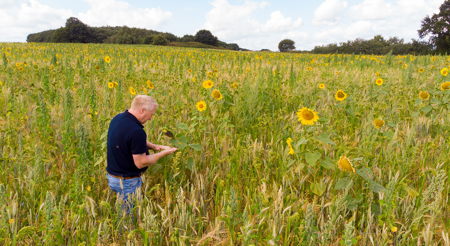 Careers at Agrovista Slider 12