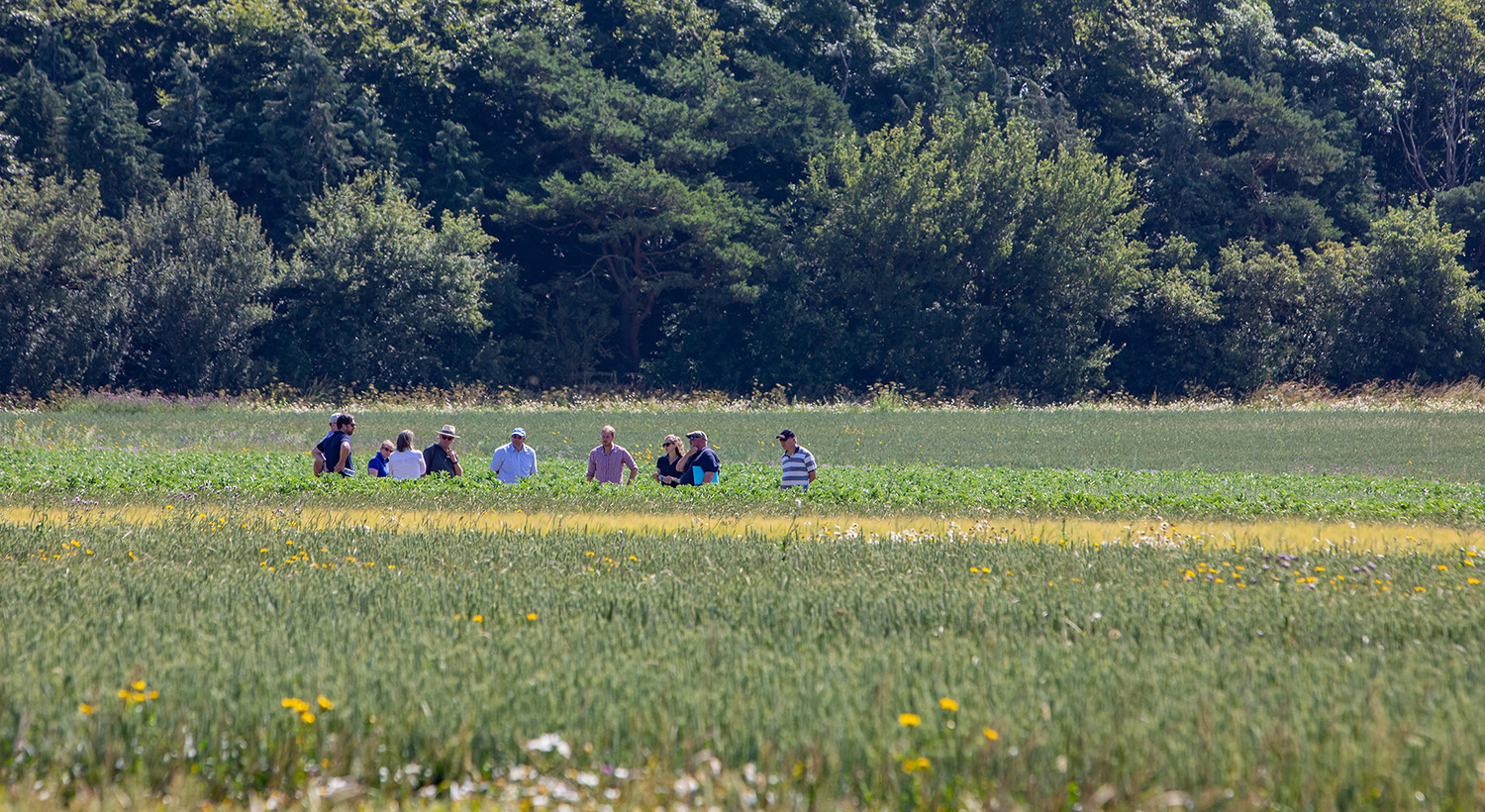 The evolution of Lamport Agx Slider 7