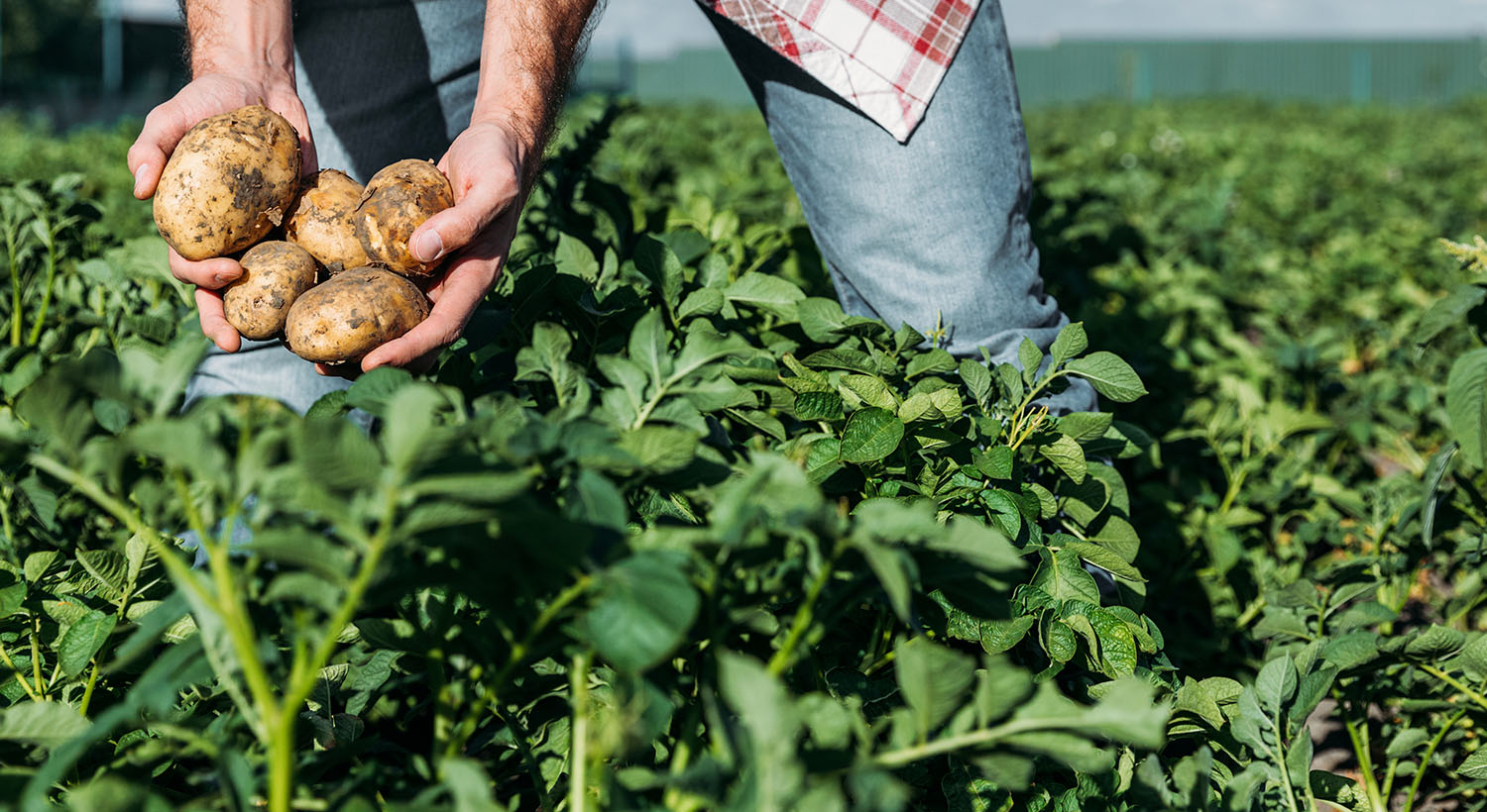 #ForOurGrowers Slider 6