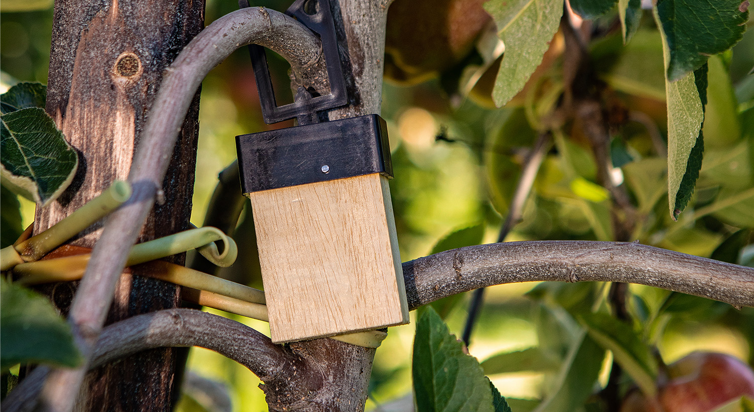 Integrated Pest Management Slider 3