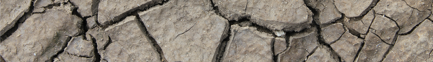 Focus areas for soil health