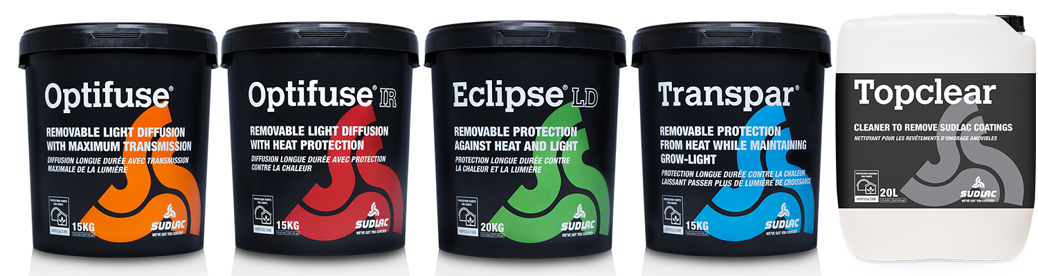 Removable Coatings