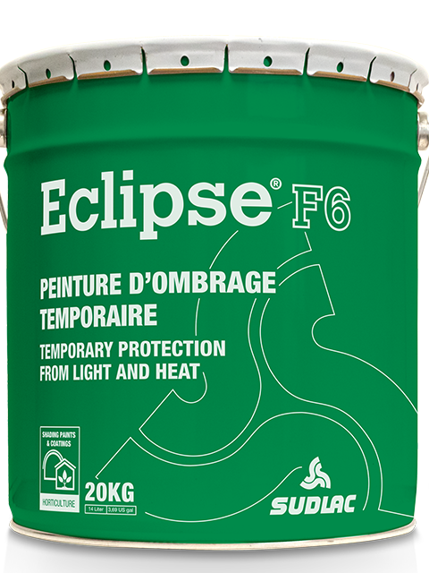 Eclipse F6