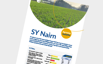 SY Nairn
