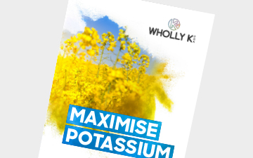 Wholly K PGA  - Innovation Range