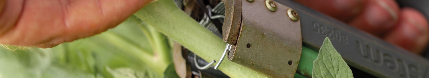 Tomsystem plant clipping system