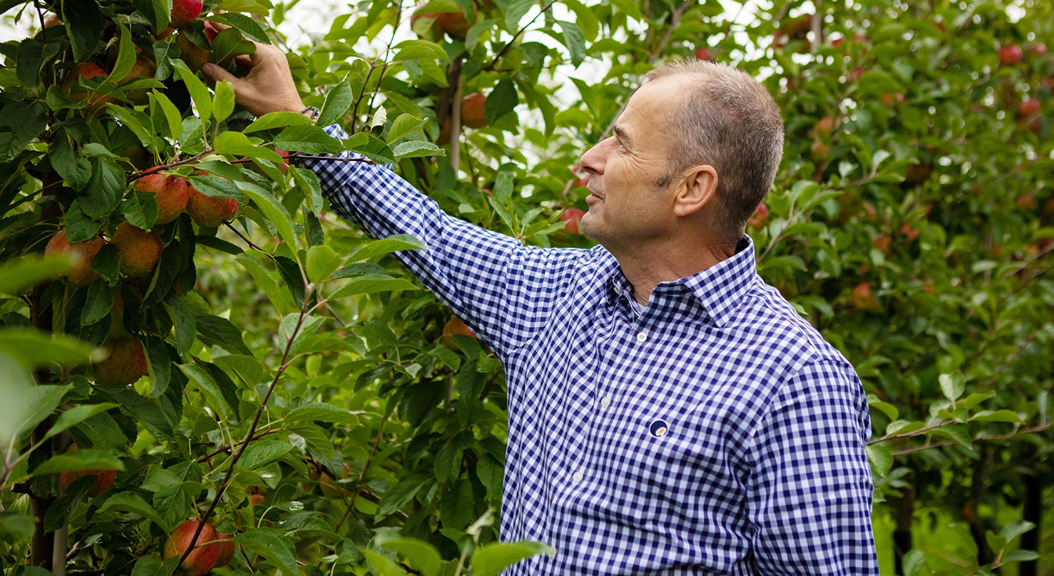 Top Fruit