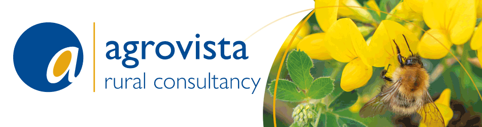 Transition Banner - Agrovista Rural Consultancy