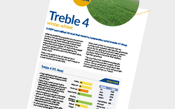 Treble 4 - winter wheat