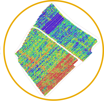 Vigour Mapping