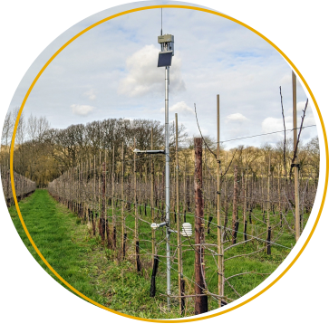 Weather, Pest & Disease Forecasting