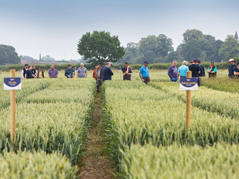 Catch up on the latest agronomy at Agrovista’s Yorkshire trials site