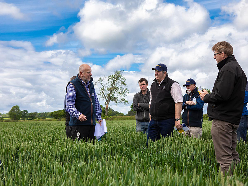Latest agronomy techniques on display at Borders trials site