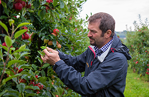 Agrovista fruit agronomist now a LEAF-endorsed consultant
