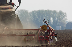 Weighing up drilling dates