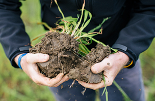 Project Lamport update 3 - soil sampling