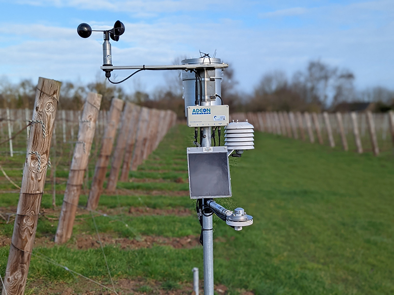 Multiple weather station updates aid crop management decisions